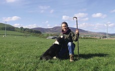 Sheepdog trialler profile: Belgian Laura Hinnekens smitten with Scottish trialling scene