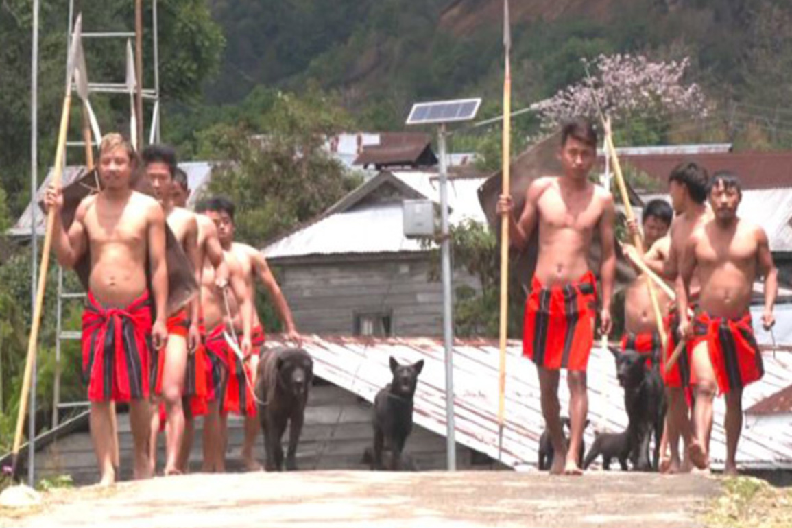 Manipur's indigenous Haofa dog breed finds new recognition