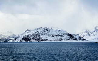 'One of the world's largest': Sustainable Markets Initiative unveils plan to create Antarctica marine protected area