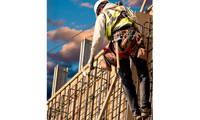Timber Trade Federation members' marine plywood to require independent certification