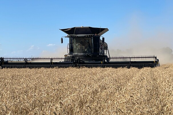 The 2024 season has exceeded expectations in WA, with growers producing the third largest harvest on limited rain.