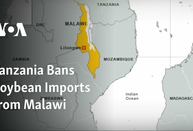 Tanzania Bans Soybean Imports from Malawi