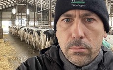 Ukraine dairy farm milks on generators