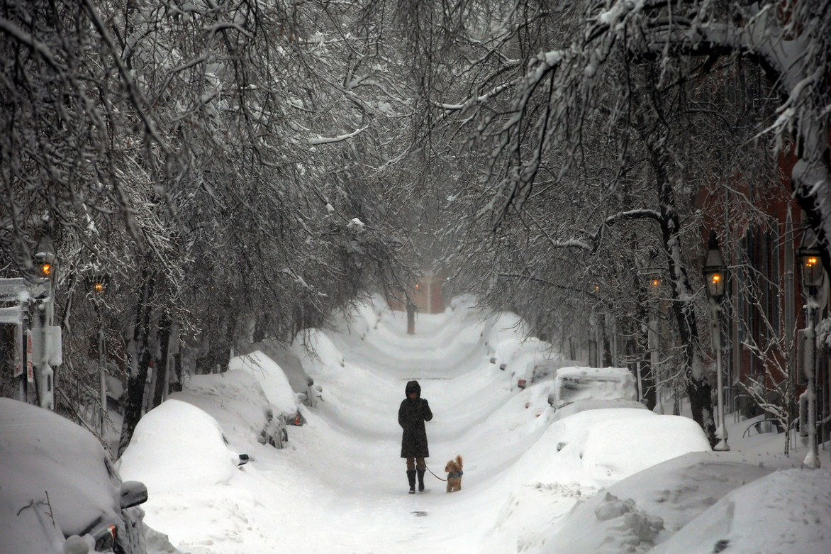 US winter storm causes 850,000 power outages, forces 10,000 flight cancellations