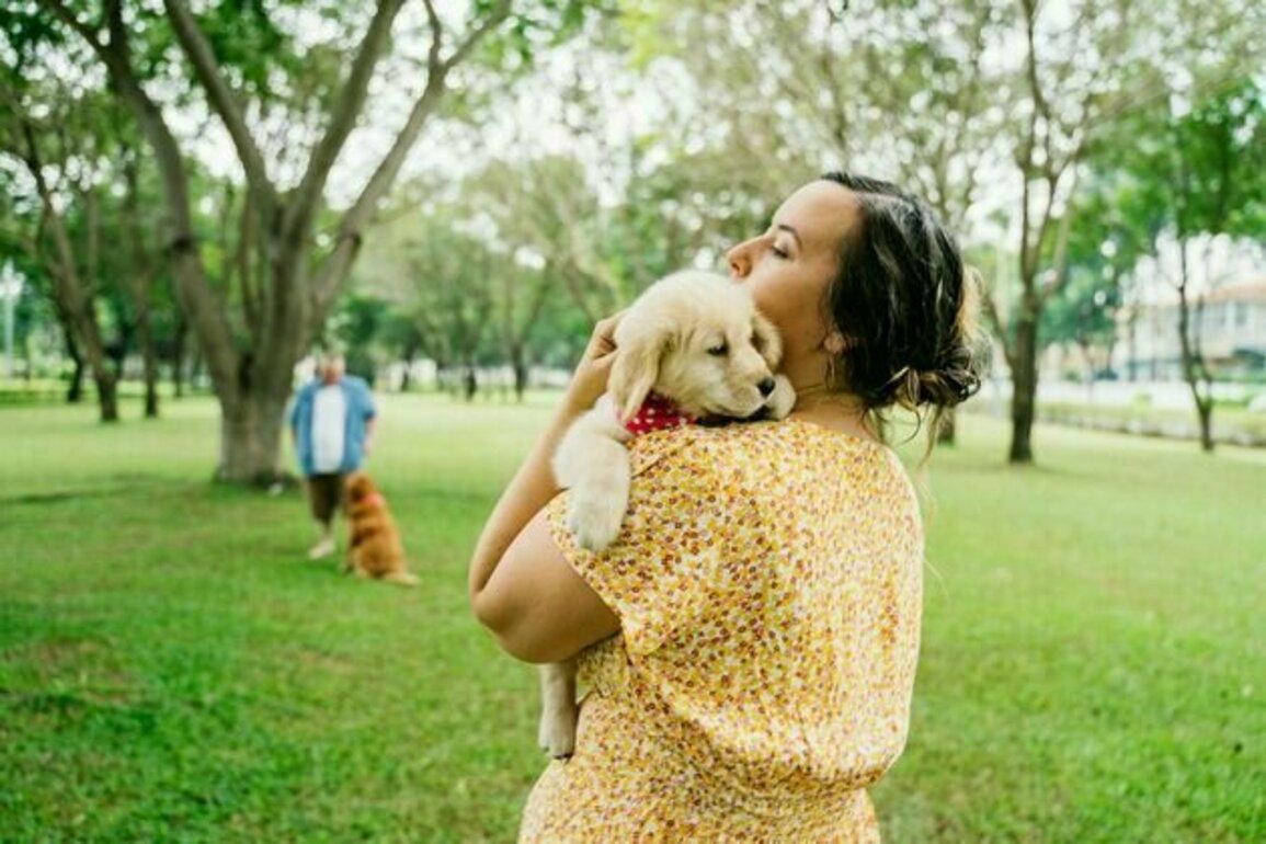 The ACT wants dog owners to spend 3 hours a day with their pet. But quality, not quantity, matters most