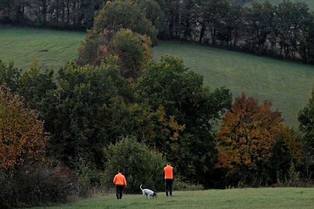 Bear Shooting Highlights European Dispute Over Rewilding