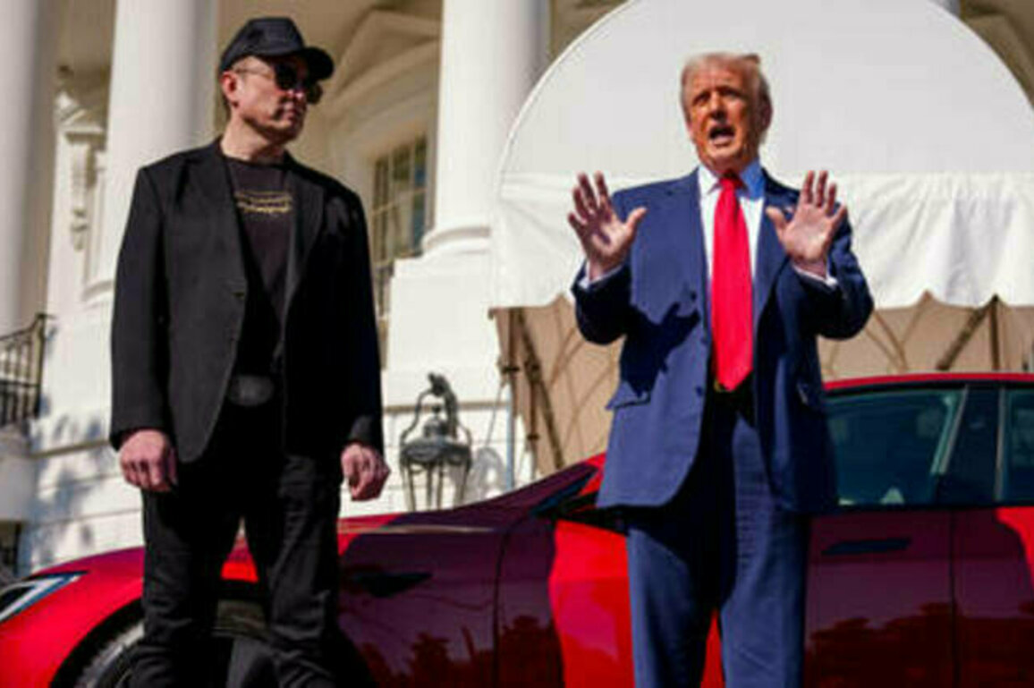 Trump says DOGE should investigate Musk