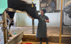 Young Farmer Focus - Henry Morris: "When I get home from school I can't wait to change into my overalls"