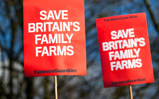 Post-Budget Survey: The reality for farming