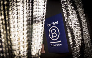 Study: Broader adoption of B Corp standards could reduce global warming by 0.5C