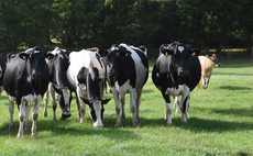 Understanding the impact of Q fever