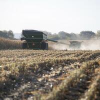 Roundup: U.S. small farmers devastated by tariff battles, shrinking markets