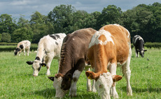 Why you should invest now to get the most out of EID technology on-farm