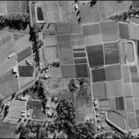 Sydney once produced its own food - but urban development has devoured the city's food bowl