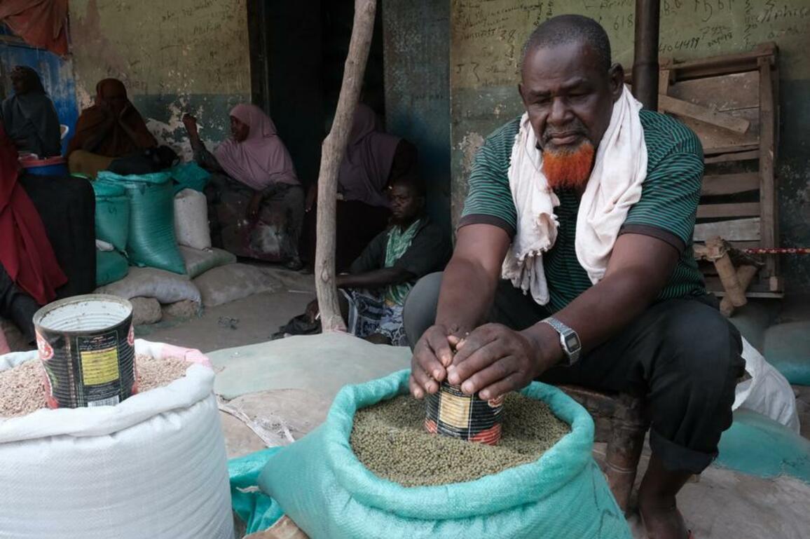 Global hunger falls in 2024, but setbacks in Africa, West Asia: UN Report