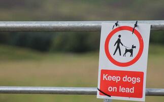 Hampshire Police said they were concerned by the number of attacks on sheep by dogs over the past five months