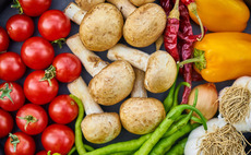Proterra raises $200m for Asia food fund  