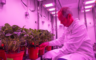 How UK scientists are working to help crops adapt to a warming world