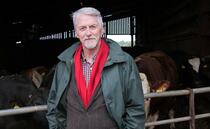 Welsh Government delays Sustainable Farming Scheme until 2026