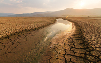 Farmer fined for taking 'more water than necessary' during summer drought