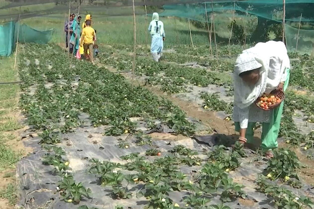 Centre releases first instalment of XV Finance Commission Grants for Sikkim's rural local bodies