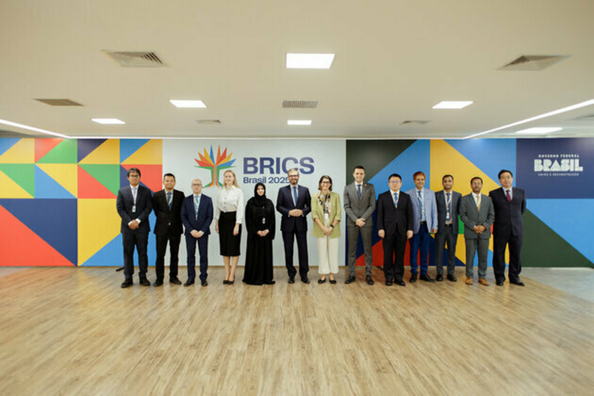 UAE reaffirms commitment to global energy transition at BRICS meeting