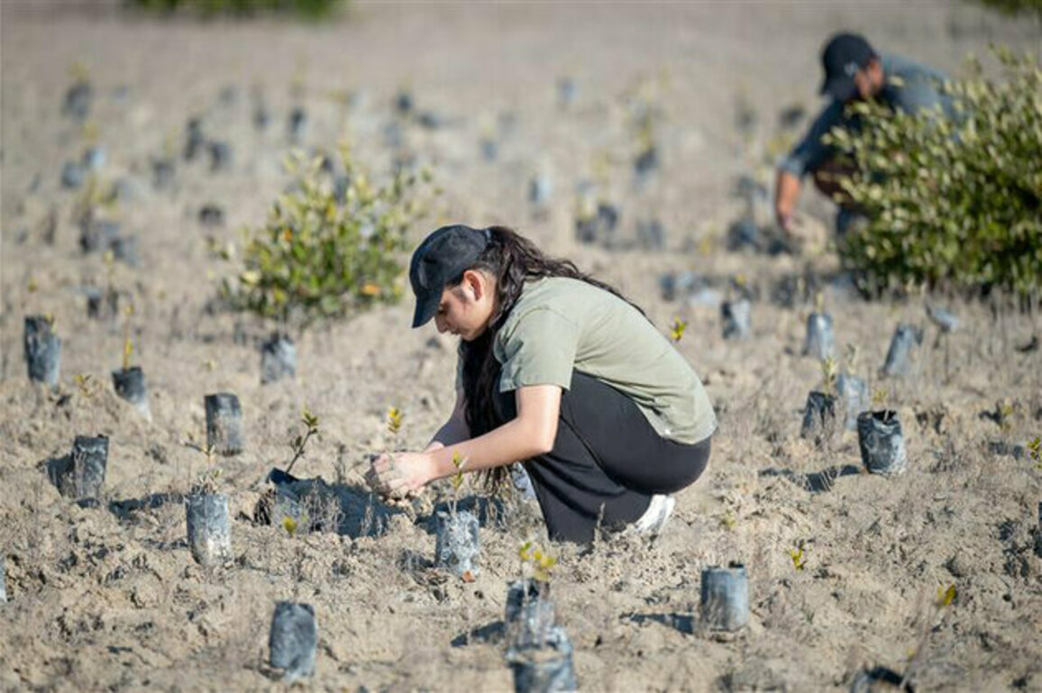 EAD, Emirates Nature-WWF launch 5-year citizen science strategy