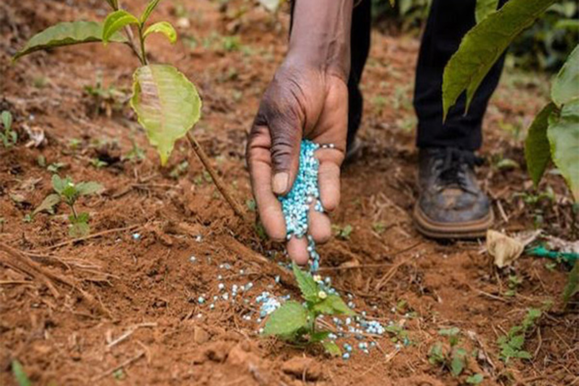 Fertiliser availability is comfortable across States during ongoing Kharif season: Government