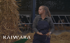 Q&A: Life on the land with Alice Grammer