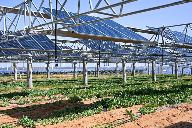 China's fresh commitment hailed as major contribution to global climate action