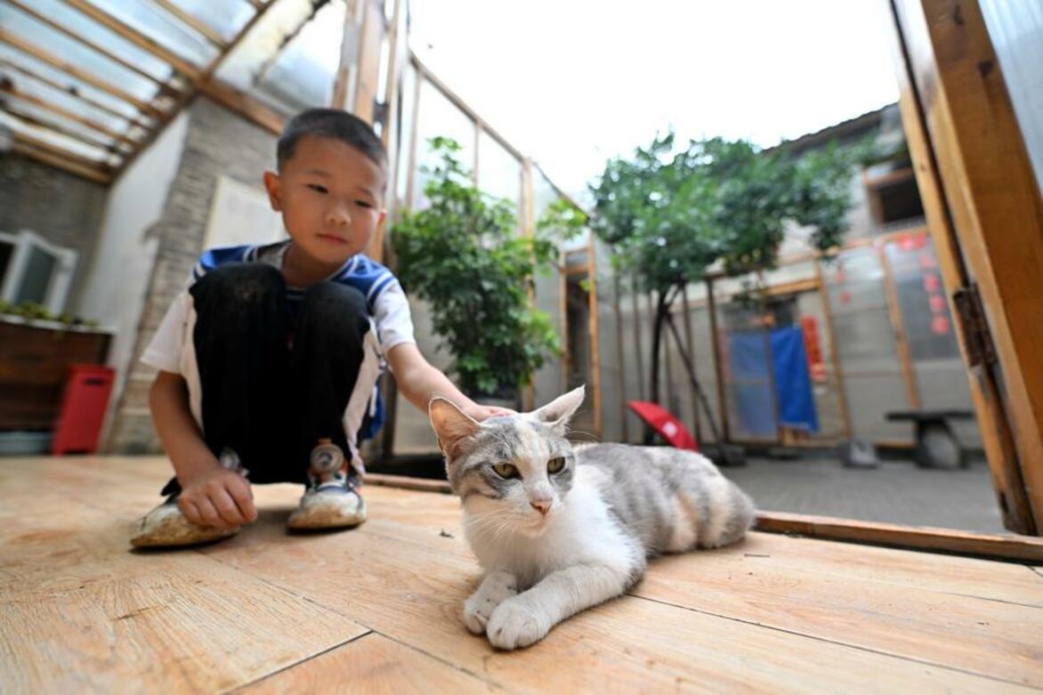 China's booming, transforming pet industry sees diverse growth