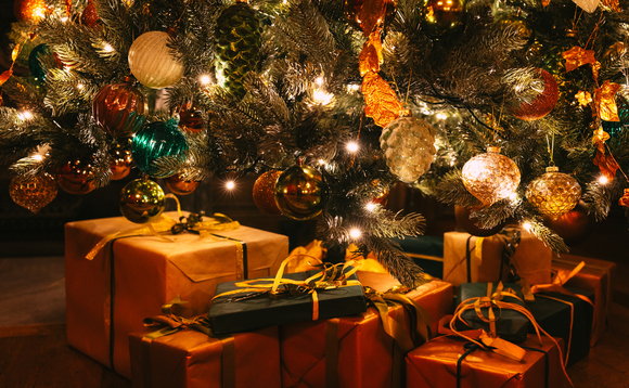 Merry Christmas from Professional Pensions