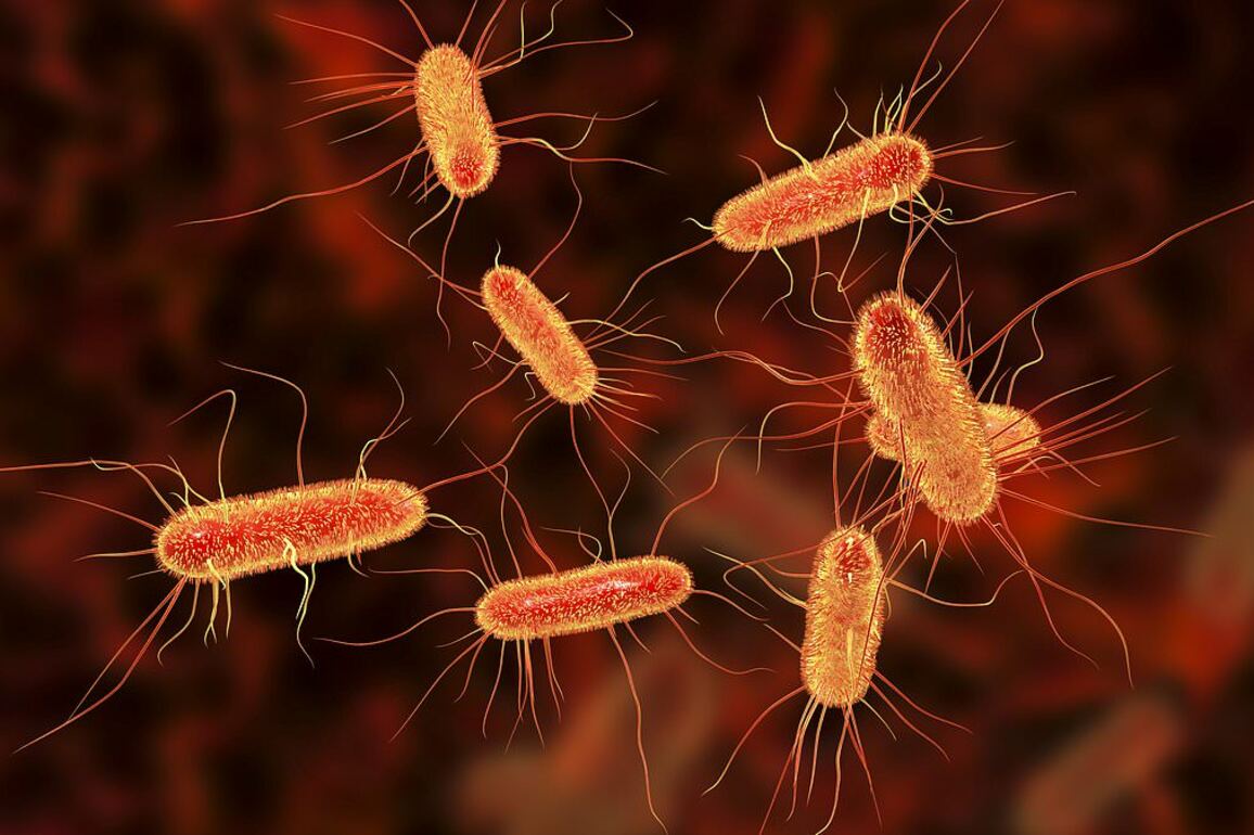 Safety warning over popular 'healthy' food that's often laced with deadly bacteria