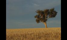  A new program is designed to support community members across 35 regional communities in Australia to prepare for drought.  