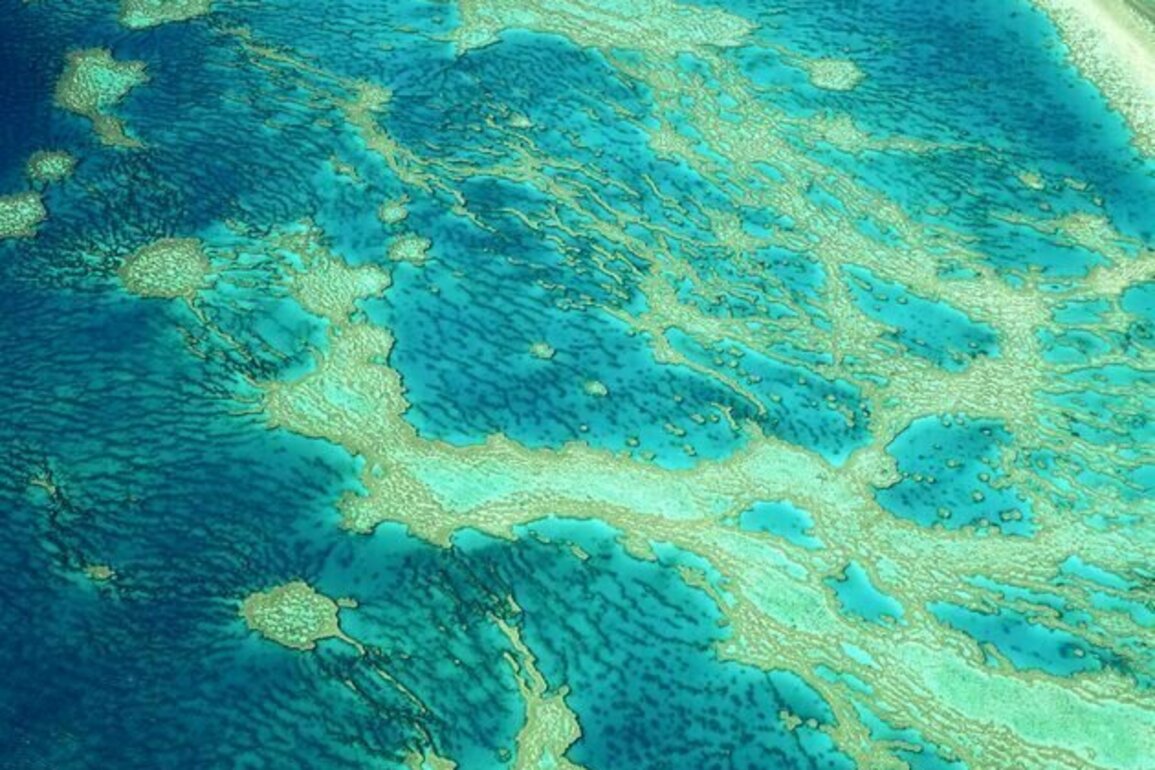 Half a century ago, the Great Barrier Reef was to be drilled for oil. It was saved - for a time