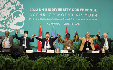 COP15 in Montreal: What does the landmark biodiversity
conference mean for business?