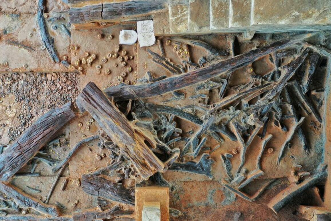 China announces top 10 archaeological discoveries for 2024