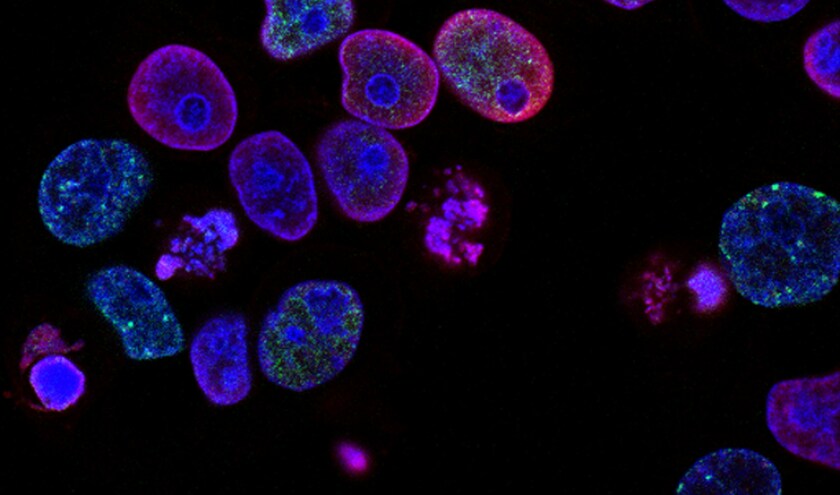  (c) National Cancer Institute/Unsplash 