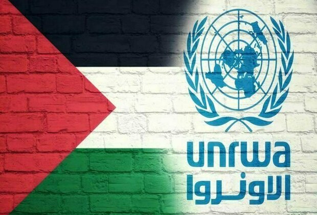 UNRWA: Five more staff killed in Gaza