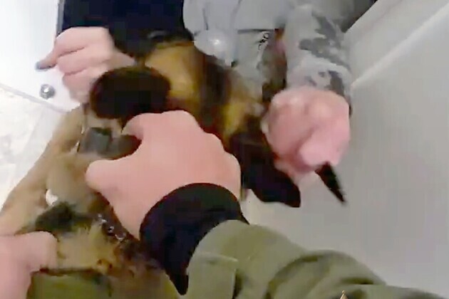 Man charged with attacking, trying to stab Spokane County Sheriff's Office K-9