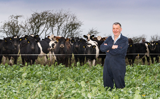 Mixed-breed approach delivers for organic Scottish dairy herd 