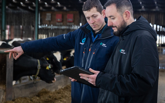 Partner Insight: The Affordable Route to Herd Monitoring