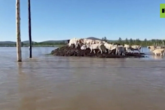 Summer floods wreak havoc in Russian Far East region 