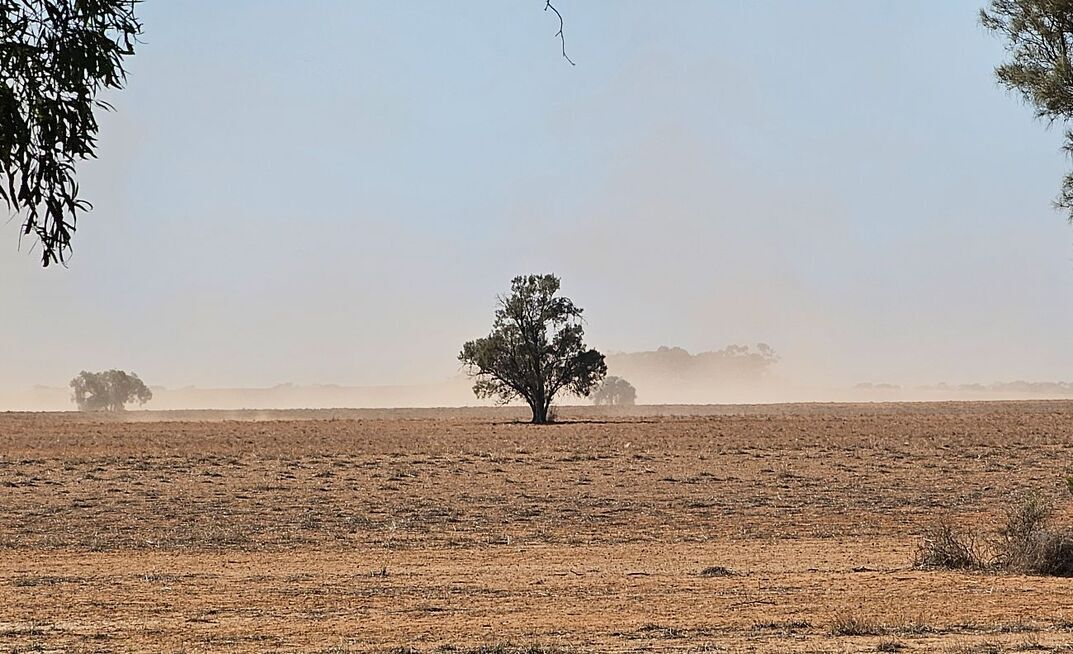 Wind erosion risk remains closely tied to groundcover levels, with bare or lightly covered soils most vulnerable to particle movement and dust loss.
