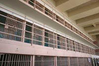 TP uses prison labour