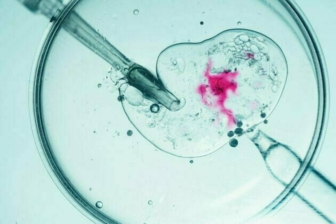 Weight loss support before IVF could boost pregnancy chances - and reduce the need for treatment
