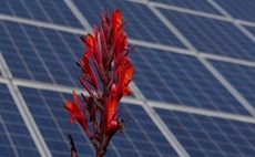 KKR to acquire India solar assets for $204m