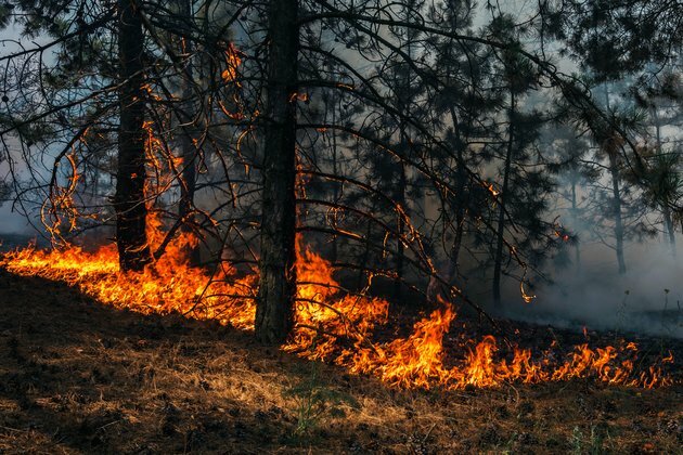 Climate change: how bad could the future be if we do nothing?