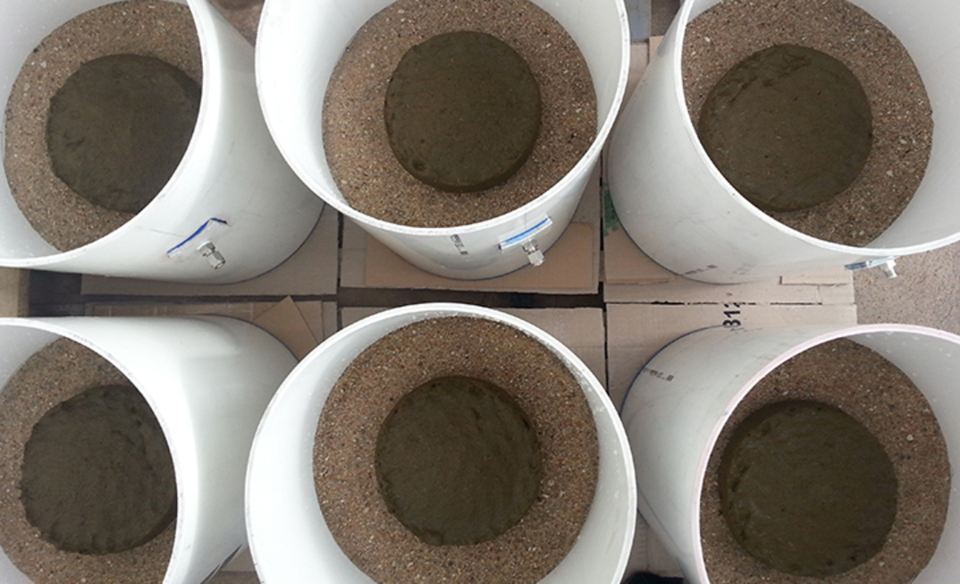 New research has shown dung beetles can drastically reduce greenhouse gas emissions from decomposing cattle manure. Pictured are test chambers used in the research.