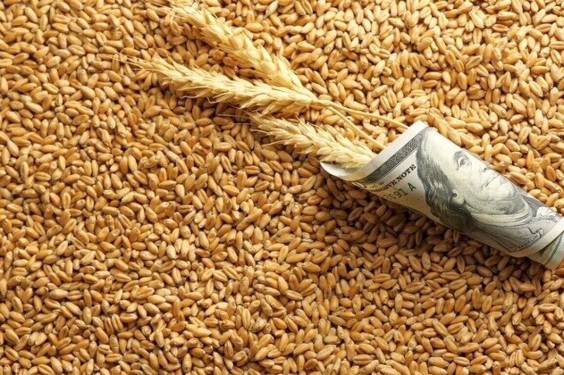 MN farmer on Farm Bill politics: 'We're just playing Whack-A-Mole' 